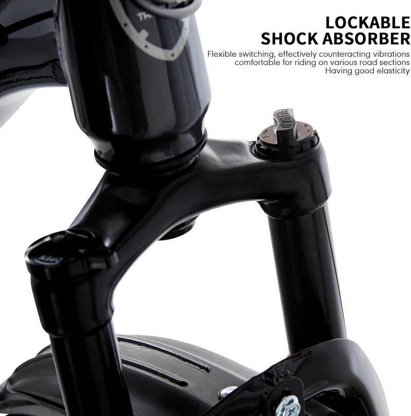 TRIOBLADE 24/26/27.5/29 Inch Mountain Bike 21 Speeds Bike 17.5 Inch Lightweight Aluminium Frame Bicycle for Adult Men Women, Lockout Suspension Fork, Dual Disc Brake